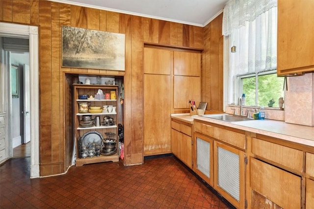 kitchen featuring crown molding, sink, and wooden walls