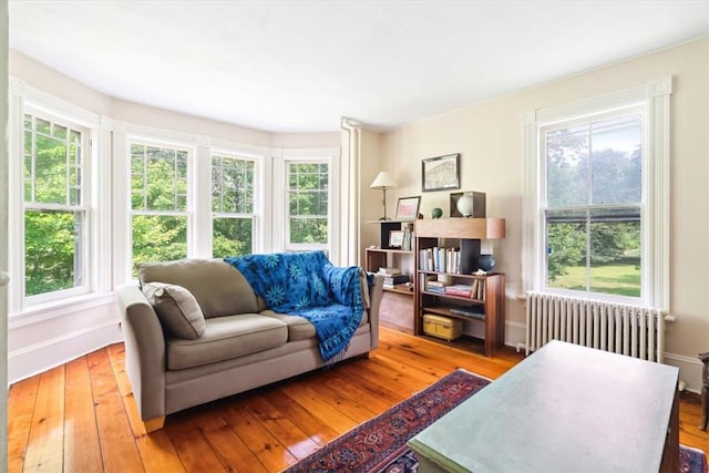 sitting room with radiator heating unit and light wood-type flooring