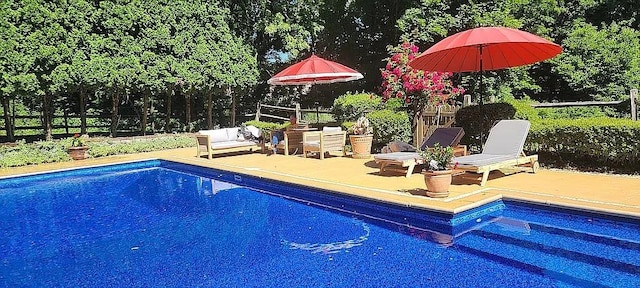 view of pool with a patio area