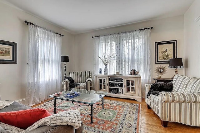 living room featuring hardwood / wood-style flooring