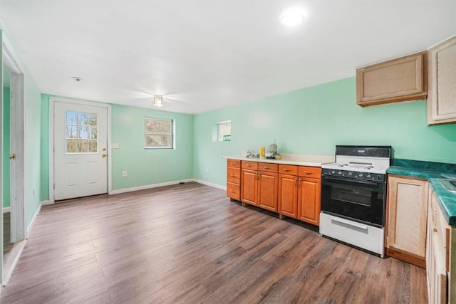 kitchen with white range oven and hardwood / wood-style floors