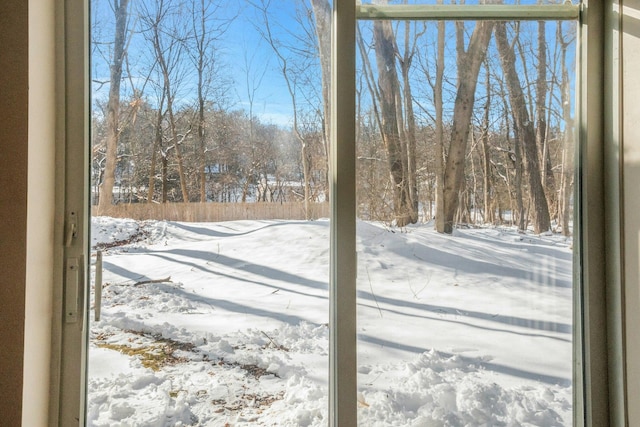 view of yard covered in snow