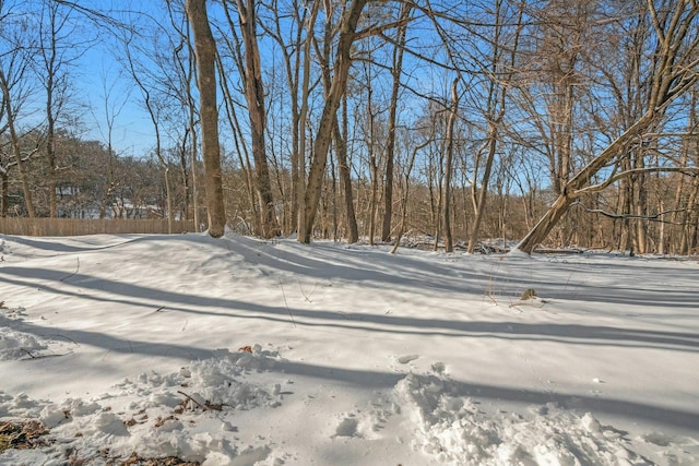 view of yard layered in snow