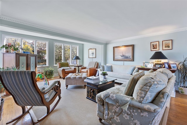 living room featuring ornamental molding and light hardwood / wood-style flooring