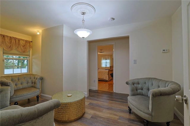 sitting room featuring dark wood-type flooring