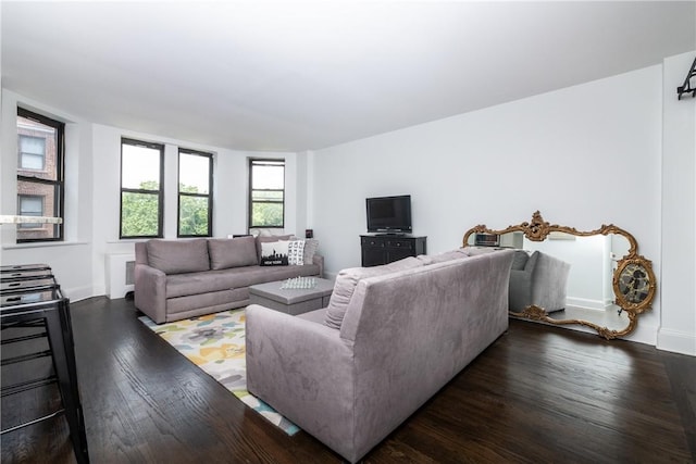 living room with dark hardwood / wood-style flooring