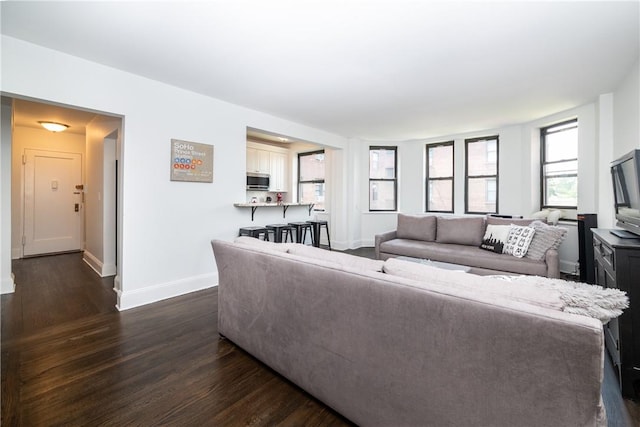 living room featuring dark wood-type flooring