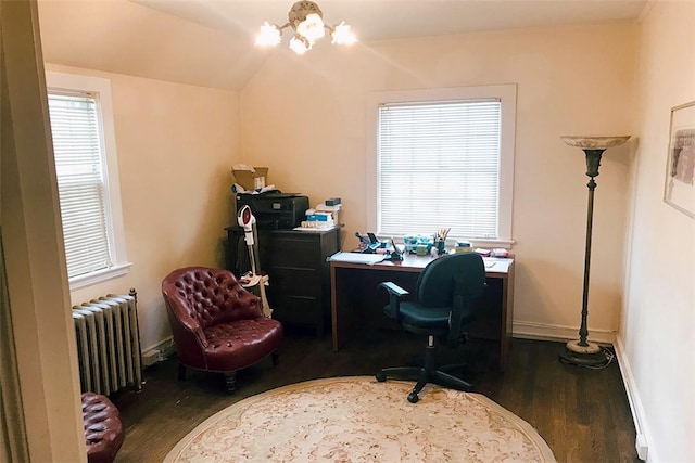 home office featuring radiator and dark hardwood / wood-style flooring