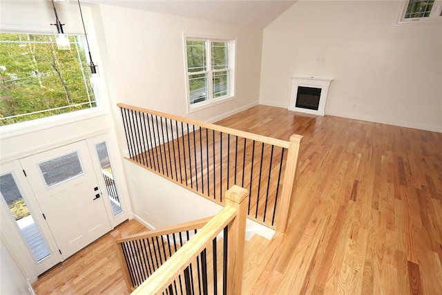 interior space featuring light hardwood / wood-style floors, plenty of natural light, and lofted ceiling