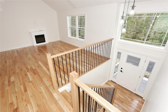 stairway featuring a wealth of natural light and hardwood / wood-style floors