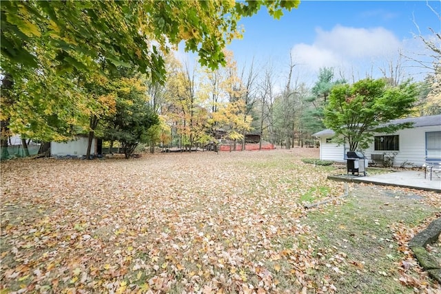 view of yard with a patio