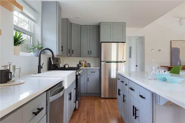 kitchen with gray cabinetry, sink, appliances with stainless steel finishes, and light hardwood / wood-style flooring