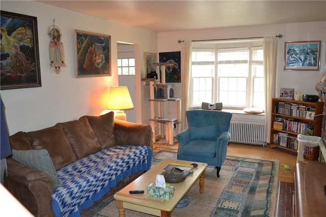 living room featuring radiator and hardwood / wood-style flooring