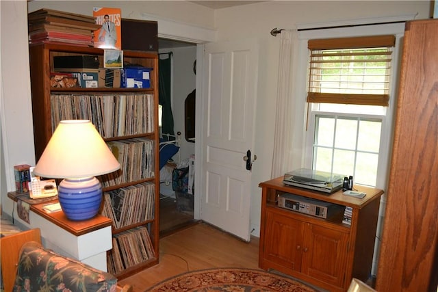 interior space with light wood-type flooring