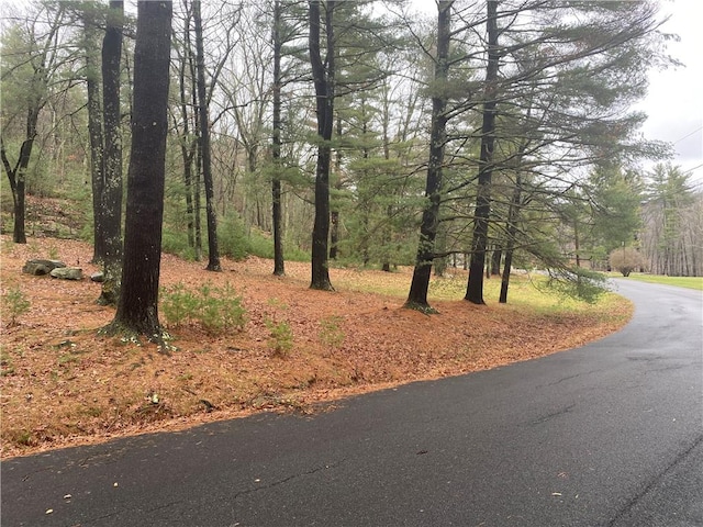 Diane Dr, Ellenville NY, 12428 land for sale