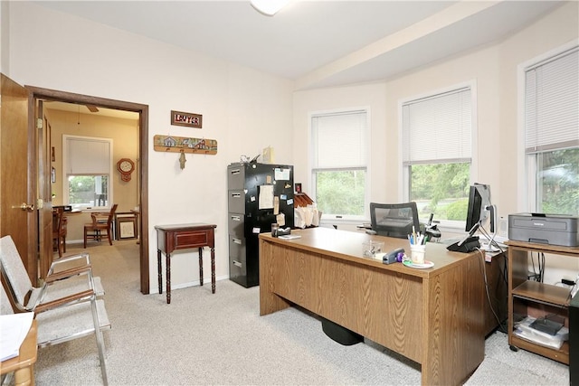 office featuring light carpet