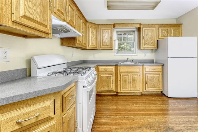 kitchen featuring light hardwood / wood-style flooring, white appliances, and sink