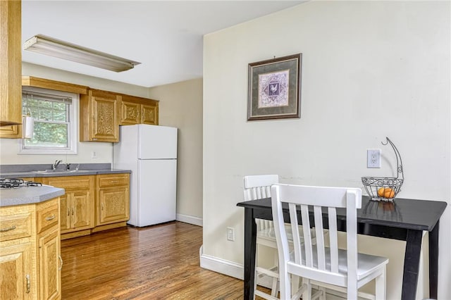 kitchen with sink, dark hardwood / wood-style floors, and white refrigerator