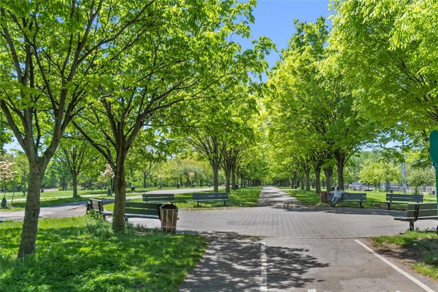 view of home's community with a lawn