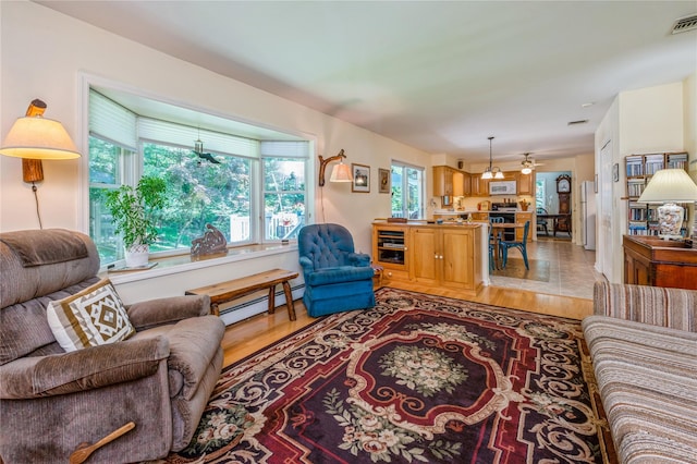 210 Bulsontown Rd, Stony Point, NY 10980 - living room featuring a baseboard heating unit and light wood-type flooring