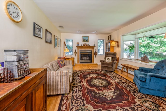 210 Bulsontown Rd, Stony Point, NY 10980 - living room with a glass covered fireplace, a baseboard radiator, and light wood finished floors