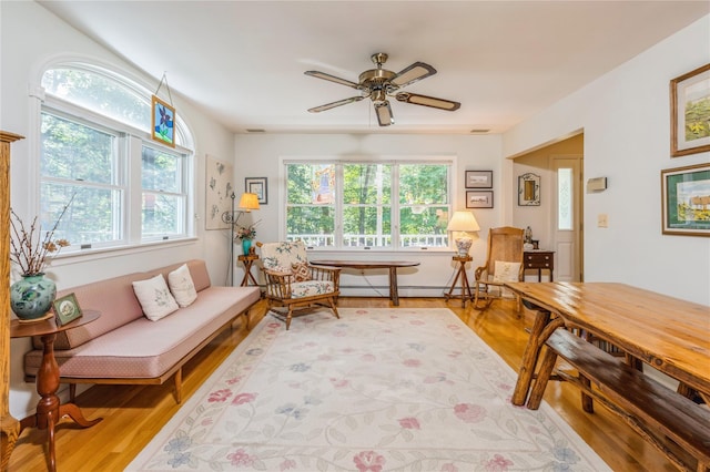 210 Bulsontown Rd, Stony Point, NY 10980 - living area with plenty of natural light, light wood-style flooring, and ceiling fan