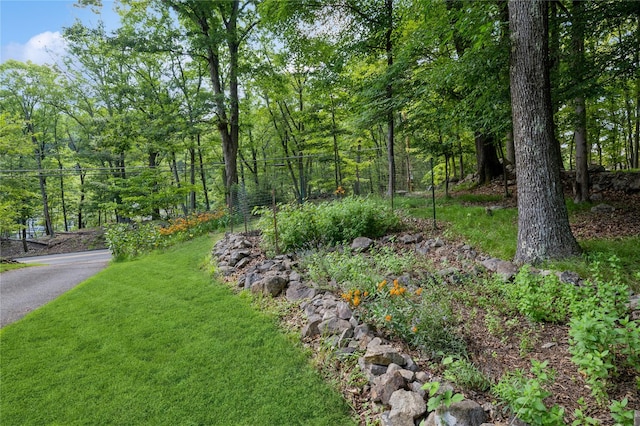 210 Bulsontown Rd, Stony Point, NY 10980 - view of grassy yard with a forest view
