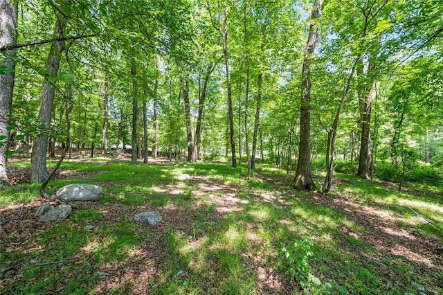 210 Bulsontown Rd, Stony Point, NY 10980 - view of yard