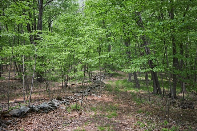 view of landscape