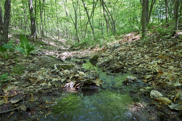 view of landscape