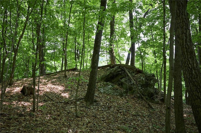 view of landscape