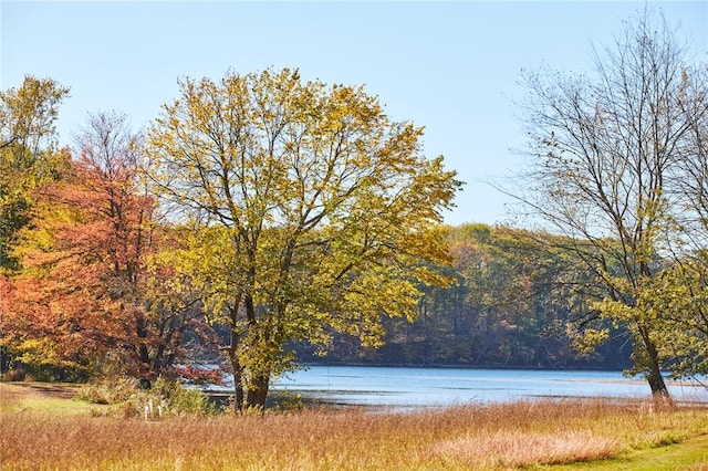 water view