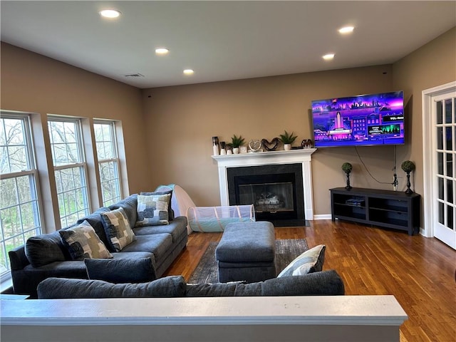 living room featuring hardwood / wood-style flooring