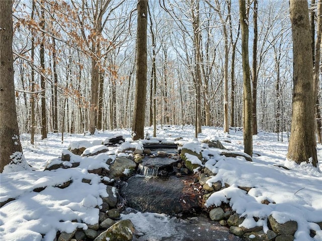 view of yard layered in snow