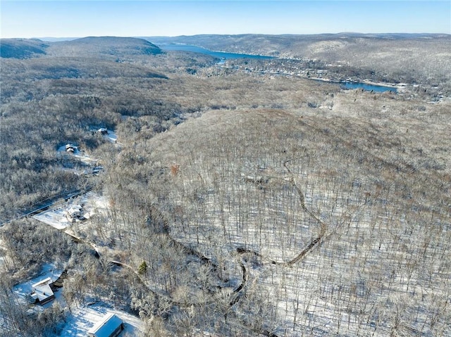 bird's eye view featuring a mountain view