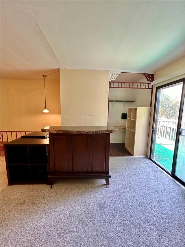 unfurnished bedroom featuring carpet flooring and access to exterior