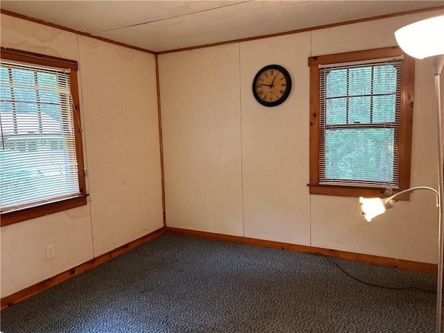 carpeted spare room featuring a healthy amount of sunlight and ornamental molding