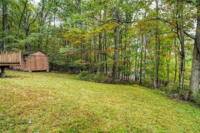 view of yard featuring a storage unit