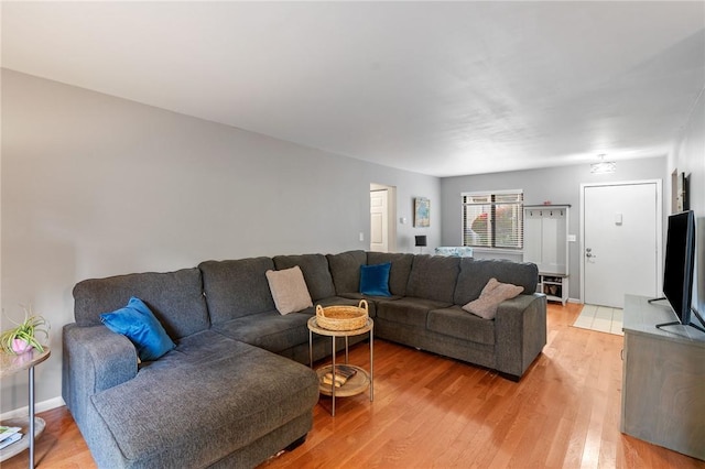 living room featuring wood-type flooring