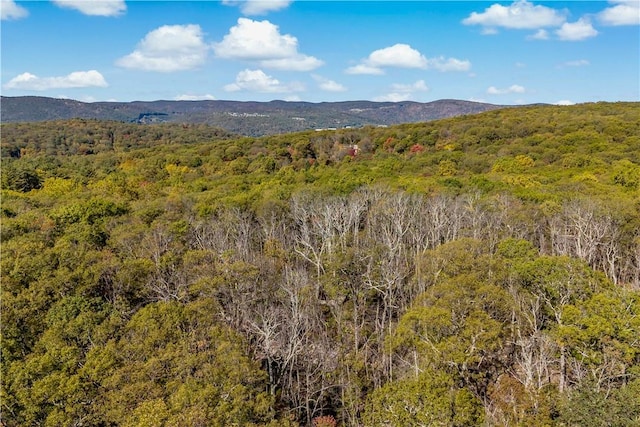 view of mountain feature