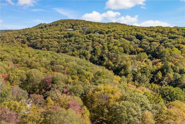 view of mountain feature