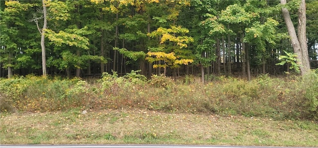 LOT1 Bethlehem Rd, New Windsor NY, 12553 land for sale