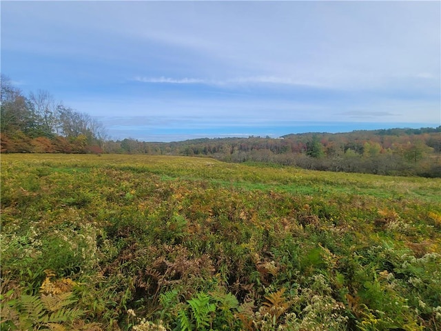 Mongaup Rd, Fallsburg NY, 12733 land for sale