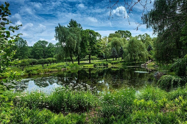 water view