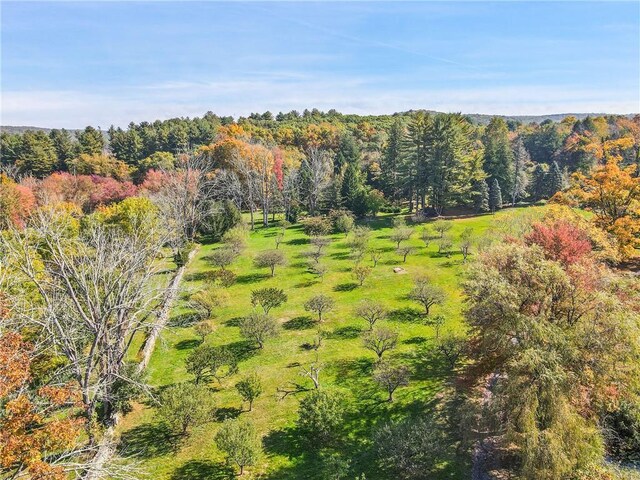 34-42 Boutonville Rd, Pound Ridge, NY 10576 - photo 10