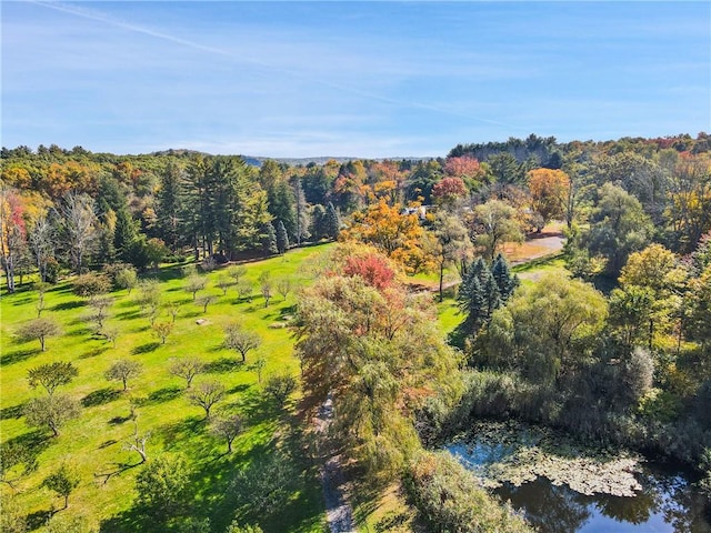 drone / aerial view featuring a water view and a rural view