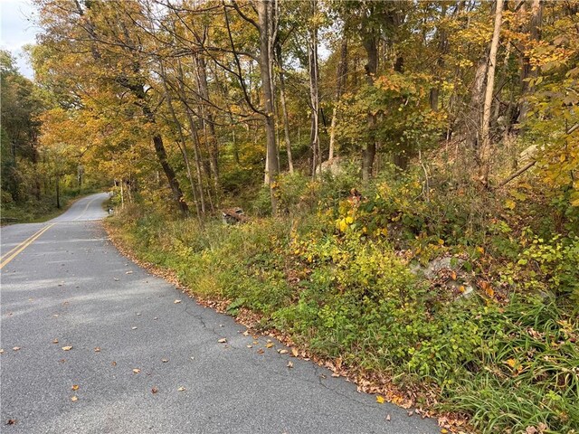 Dean Rd, Carmel, NY 10512 - photo 3