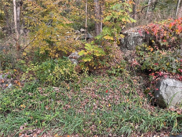 Dean Rd, Carmel, NY 10512 - photo 4