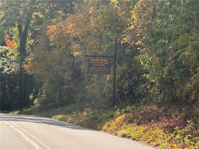 Dean Rd, Carmel, NY 10512 - photo 6