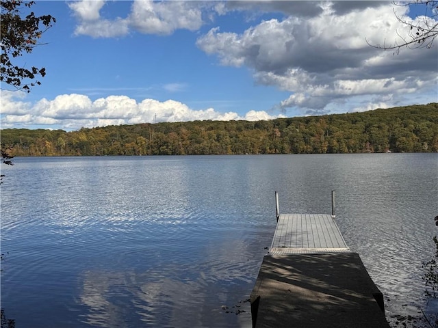 Dean Rd, Carmel, NY 10512 - photo 7